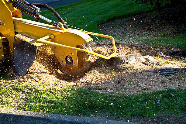 Lawn Grading and Leveling in Goldens Bridge, NY